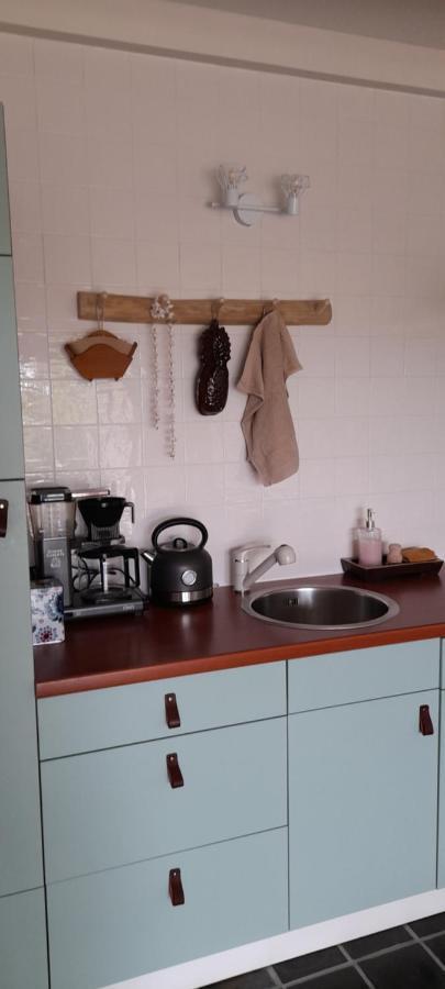 Ferienwohnung Het Sonnehuys Nieuwland  Exterior foto